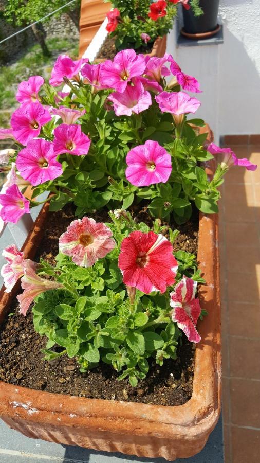 Casa Annunziata Apartment Ravello Ngoại thất bức ảnh